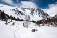 Valle de l'Ayr