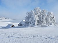 Randonne en raquettes  neige prs du Puy de Gudette