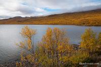 Trace gps Randonnée au lac Abiskojaure Randonnée au lac Abiskojaure