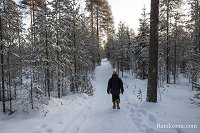 Trace gps Randonnée en aller/retour sur une partie du Pieni Karhunkierros Randonnée en aller/retour sur une partie du Pieni Karhunkierros