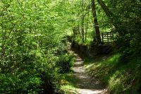 Circuit VTT entre Luz, Agnouède et Sazos Circuit VTT entre Luz, Agnouède et Sazos