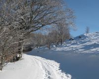 Sortie raquettes au Mont Aigoual - d�c 2010