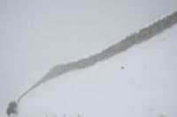 Le Caucase G�orgien...� Lyon