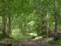 Circuit de l'avenue de l'Hermitage