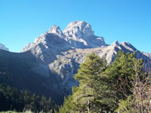 Obiou
