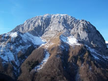 Le Trlod