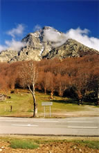 Col de Vizzavona