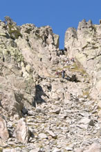 Goria