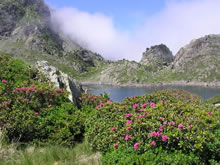 Lacs Robert