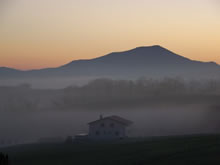 Ursuia
