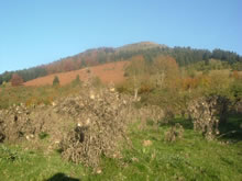 Soum de la Pale
