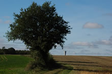 Chemin de Promenade : Le Vieux Cormenier