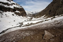 Entre H�as et troumouse