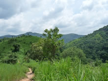 Trekking au Ghana