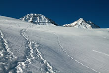 Mont�e au col de Tentes en raquettes � neige