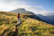 Volcans et panoramas dans le massif du Sancy