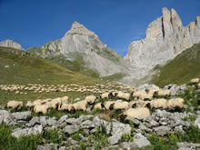 Traverse des Pyrnes  pied par la HRP en 2013