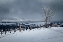 Balade dans la neige entre Aveyron et Lozre