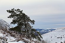 Puy Pariou