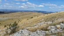 Randonne au Mont Gargo, sommet du Causse Mjean