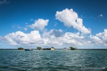 A la dcouverte de la mangrove avec Blue Lagoon