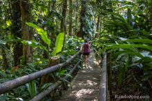 Visiter le Parc Zoologique des Mamelles