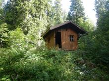 Traversée de la forêt du Risoux (Doubs - Suisse - Jura) 50 km