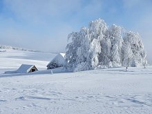 Randonne en raquettes  neige prs du Puy de Gudette