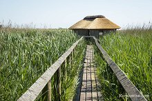 Partez à la découverte de la plus grande réserve ornithologique d'Europe du Nord
