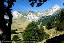Cabane de Besse
