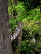 Passerelle d'Holzart