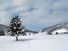 Randonne en raquettes  neige  Payolle