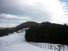 Aratungo Lepoa Aratungo Lepoa