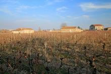 Randonne  Saint-Emilion