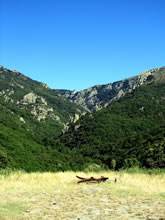 Randonne au Sommet du Caroux