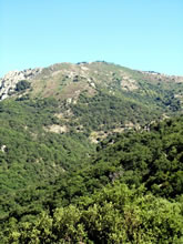 Canyoning et Descentes en rappel au Massif du Caroux - Espinouse en Haut Languedoc