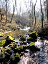 Balade au Domaine de Combelles, prs de Rodez en randonne