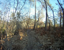 VTT Saint-Mdard en Jalles