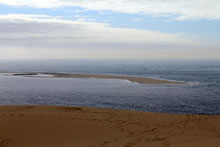 Randonne bassin d'Arcachon : balade sur la dune du Pyla