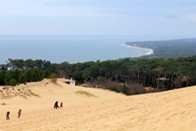 Randonne bassin d'Arcachon : balade sur la dune du Pyla