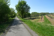 Balade en vlo sur la Voie Verte Roger Lapbie en Gironde