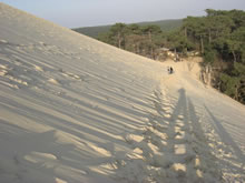 Dune du Pyla
