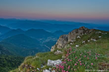 Col du Rousset