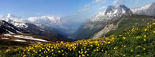 Tour du Mont Blanc (ou TMB)