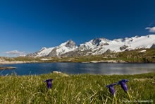 Lac Noir