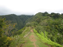 Randonnée au Mont Aorai à Tahiti