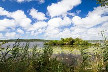 Etang de Lon