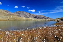 Lac Palluel