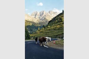 Petit et Grand Astazou