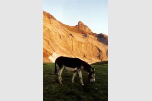 Pic de Gerbats au dessus d'un des lacs de Barroude. Et 2001.